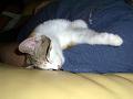 Caramel 08-04 034
